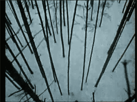 PARAJANOV.com | Shadows of Forgotten Ancestors